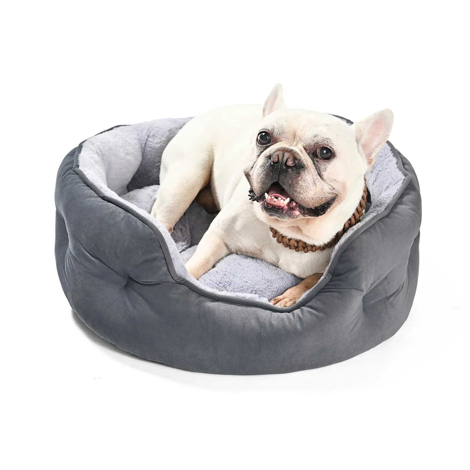 Prestigious Amazon Basics Round Dog Bed for Medium Dogs – Soft Plush Washable Anti-Slip Gray First-Class