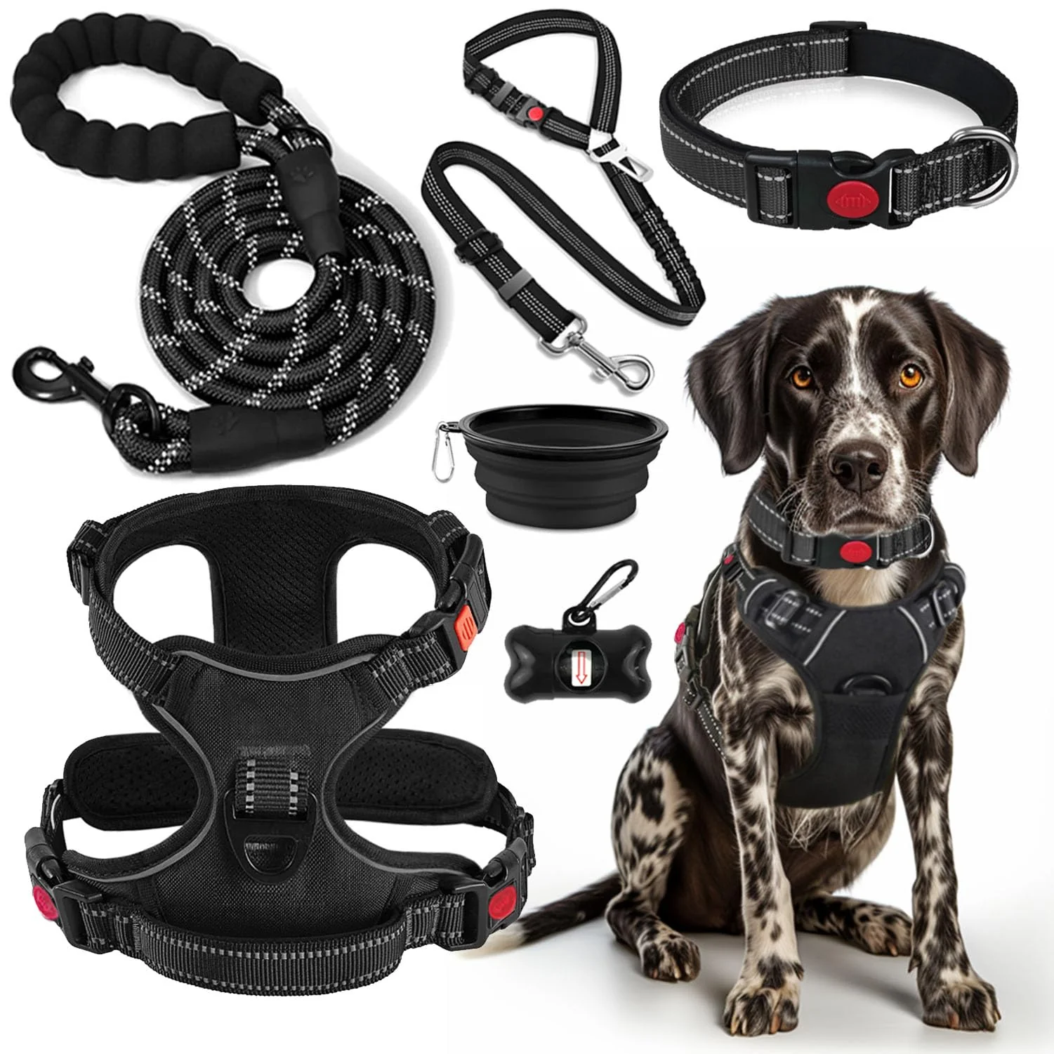 Superior LOBEVE No Pull Dog Harness Collar Leash Set All-in-One Travel Kit Black-L Expertly Made
