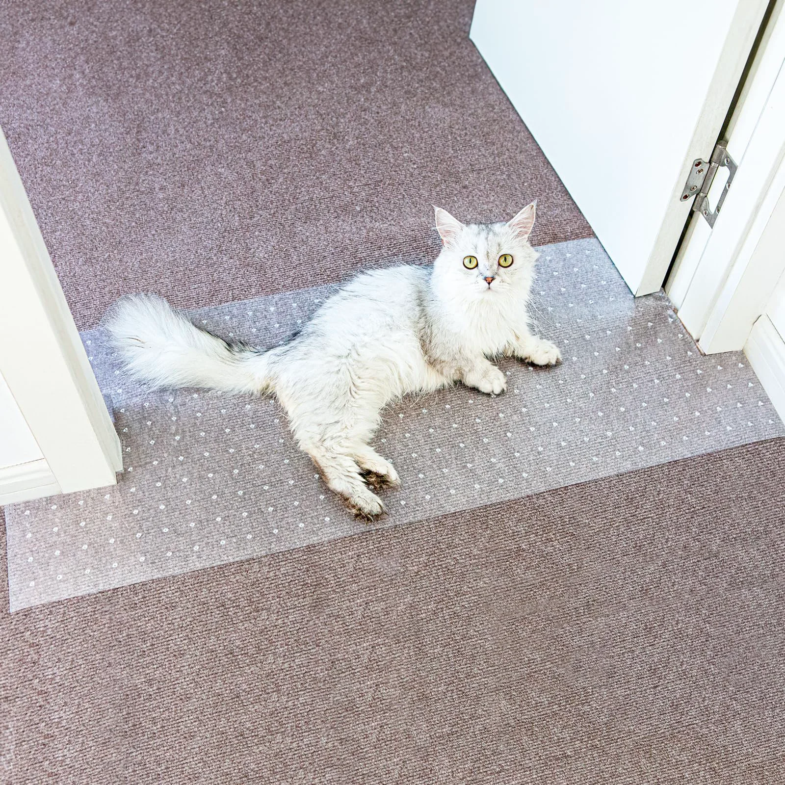 Recyclable Oroonoko Carpet Protector for Pets – Doorway Clear 5.2ft Non-Slip Easy Trim Specialty
