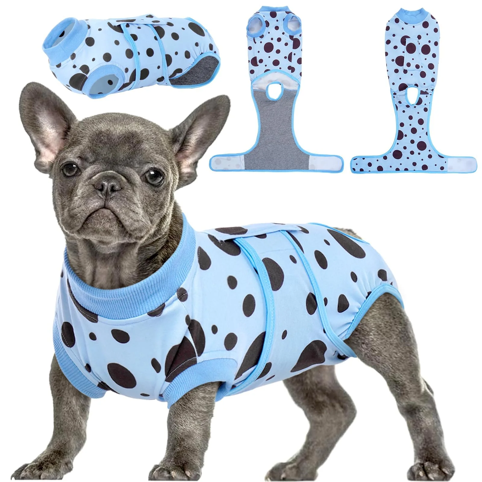 Pure Kuoser Dog Surgery Suit - Soft Post-Op Recovery Wear Blue Polka Dots XS Modern