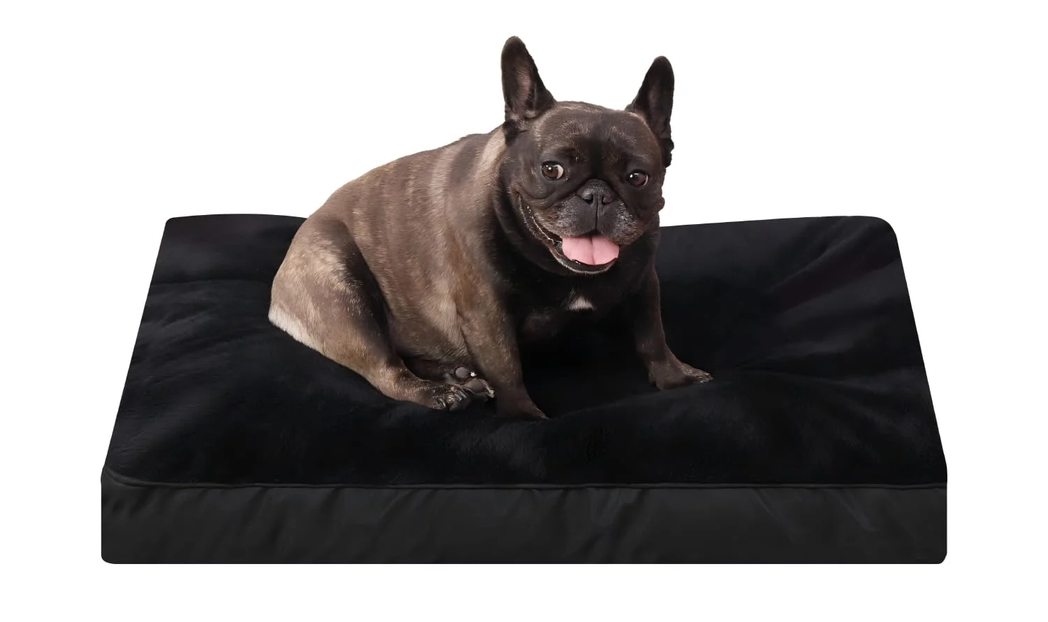 Exceptional NUPIDA Waterproof Deluxe Plush Dog Crate Bed — 23x17 in Removable Cover Anti-Slip Bottom Natural
