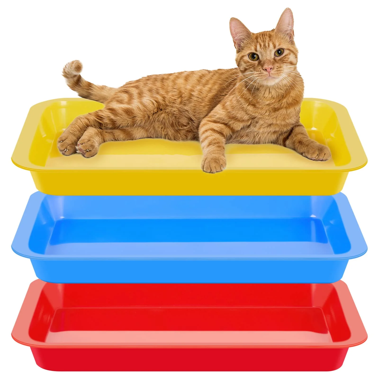 Refined Tessco for you 3-Pack Kitten Litter Box — Shallow Low-Entry Open Tray 17.3 x 13.6 in Certified