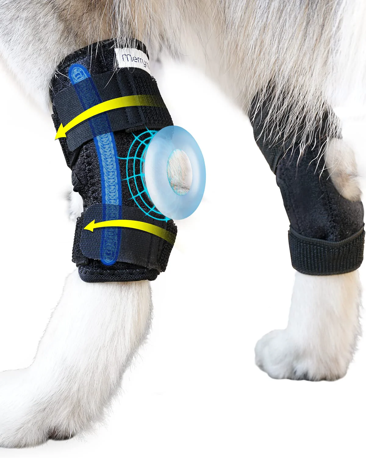 Pure MerryMilo Dog Leg Brace – Rear Hock Ankle Support 2 Pack Size M Practical