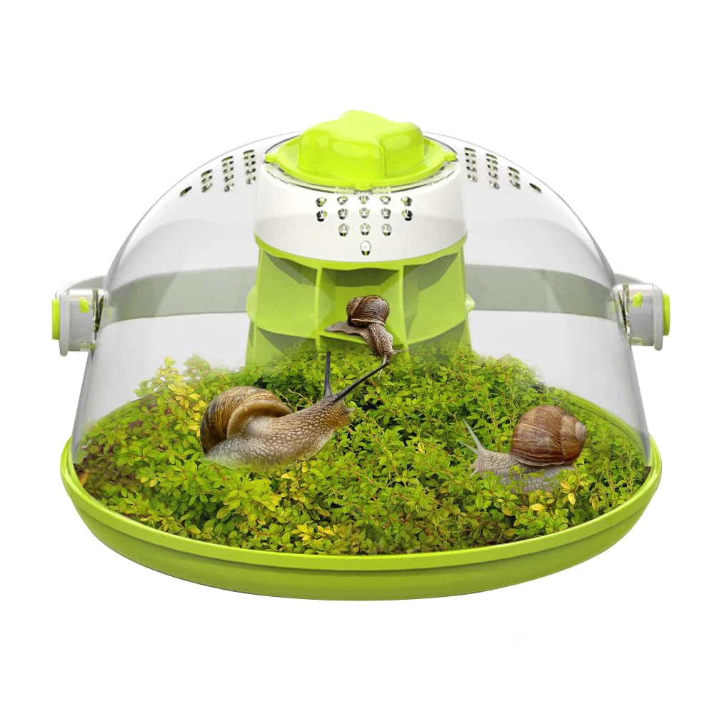 Reliable LepiBat Gems Snail Terrarium Breeding Box Elite