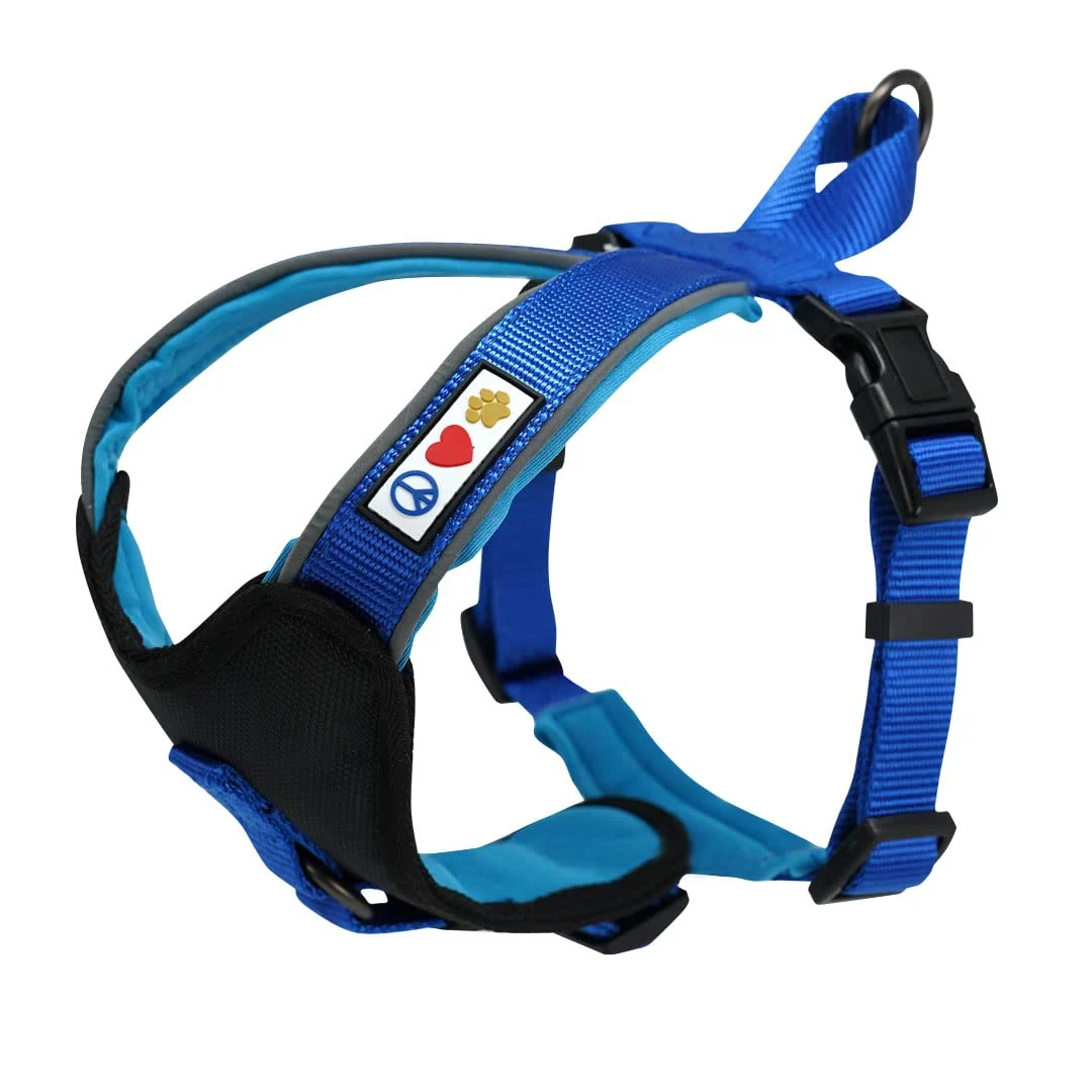 Luxury Pawtitas Reflective Padded Dog Harness XXS — No-Pull Comfort for Small Breeds Blue Professional