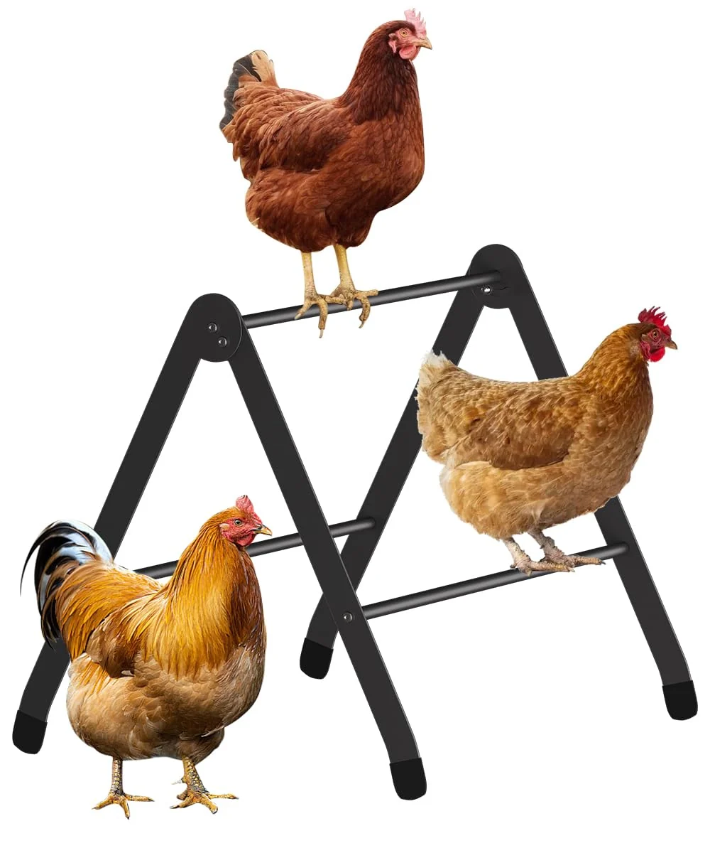 Fine Koutemie Adjustable Chicken Perch for Coop Heavy-Duty Metal Chick Roost Genuine
