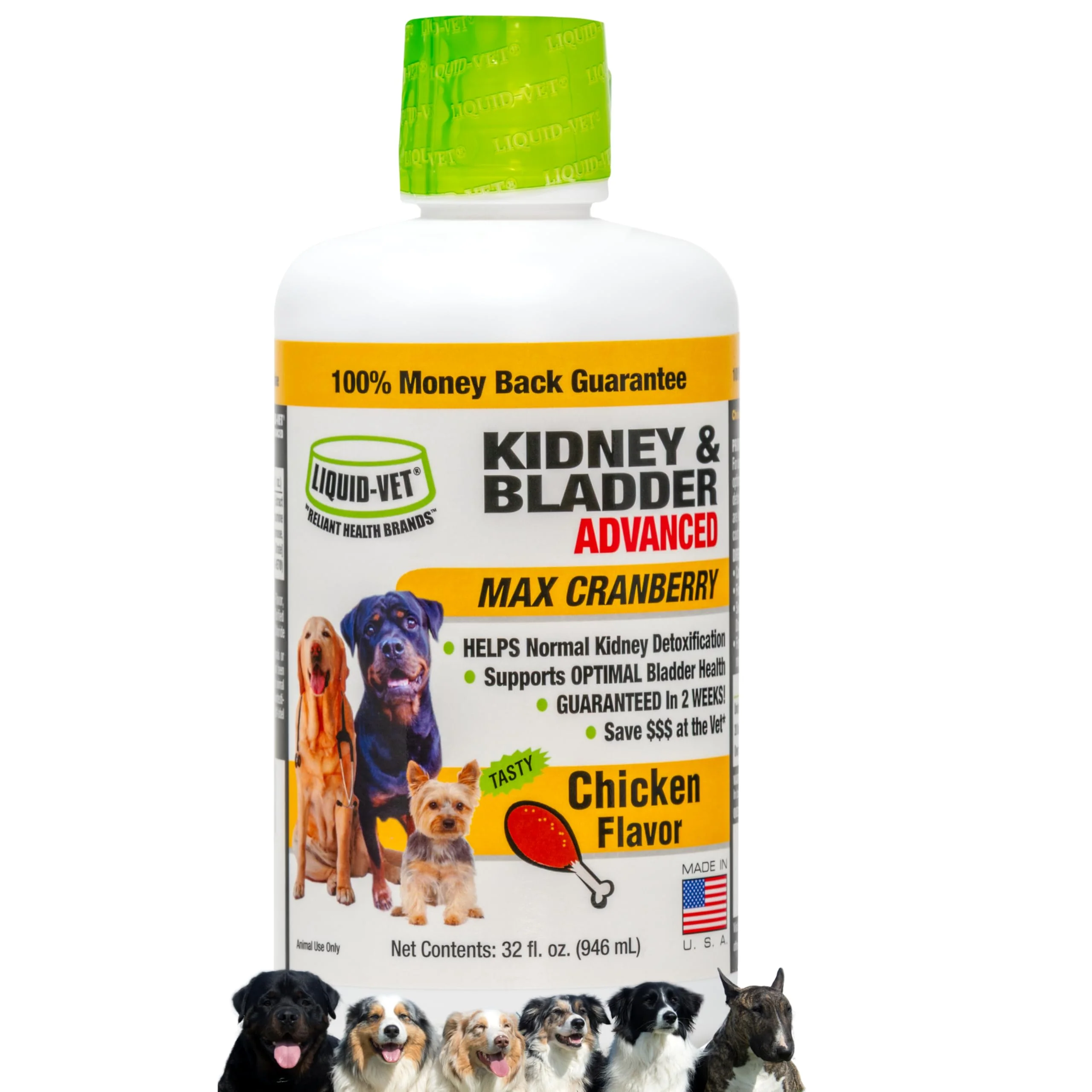 Stylish LIQUID-VET Premium Easy-to-Dose Kidney Bladder Support for All Dogs — Cranberry D-Mannose Recyclable