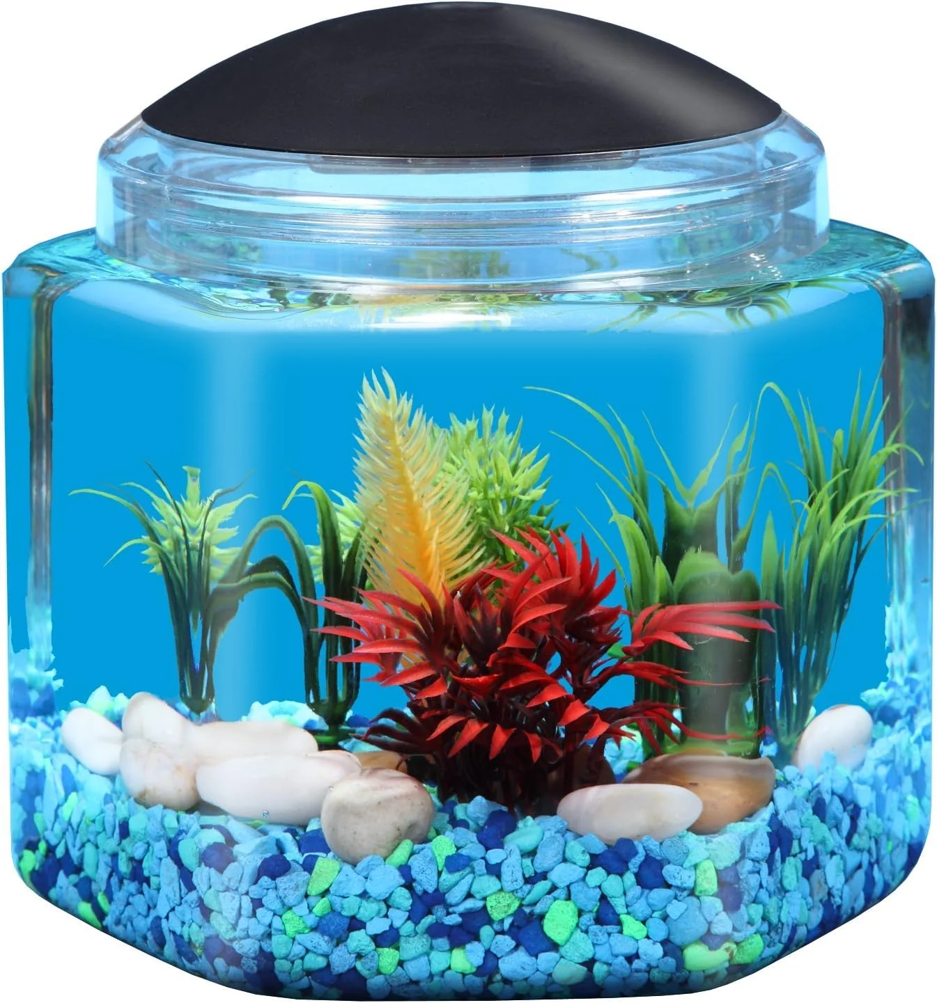 Sustainable Koller Products 1 Gallon Hex Bettatank – LED Lighting 7 Color Modes Built-in Timer Healthy