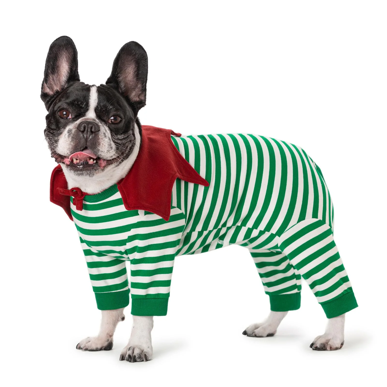 Environmentally Friendly Miaododo Striped Dog Surgery Recovery Suit — Protective Post-Op Bodysuit for Dogs Cats Healthy