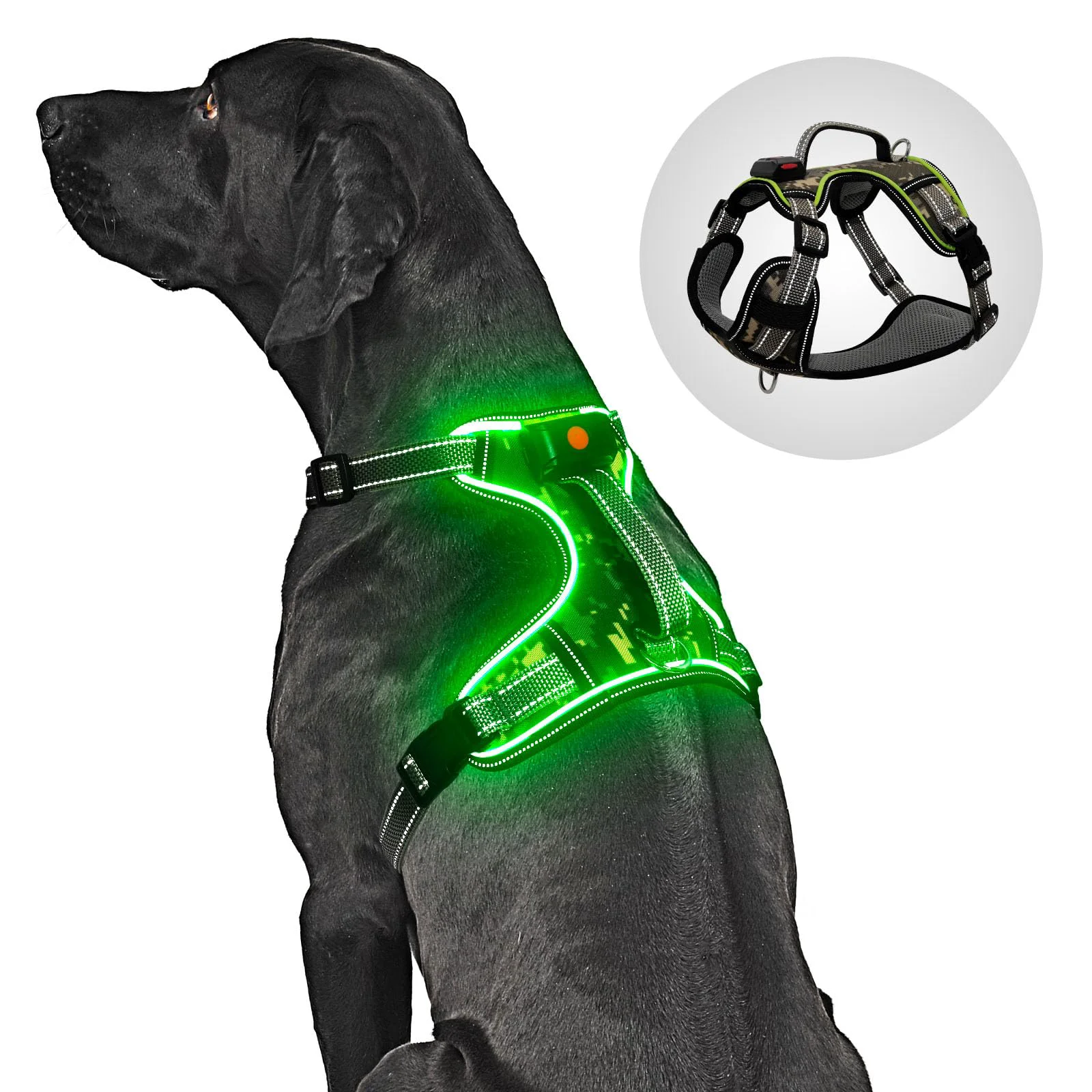 Relaxed BiPawTi Light Up No-Pull LED Dog Harness for Large Dogs Rechargeable Reflective Adjustable Environmentally Friendly