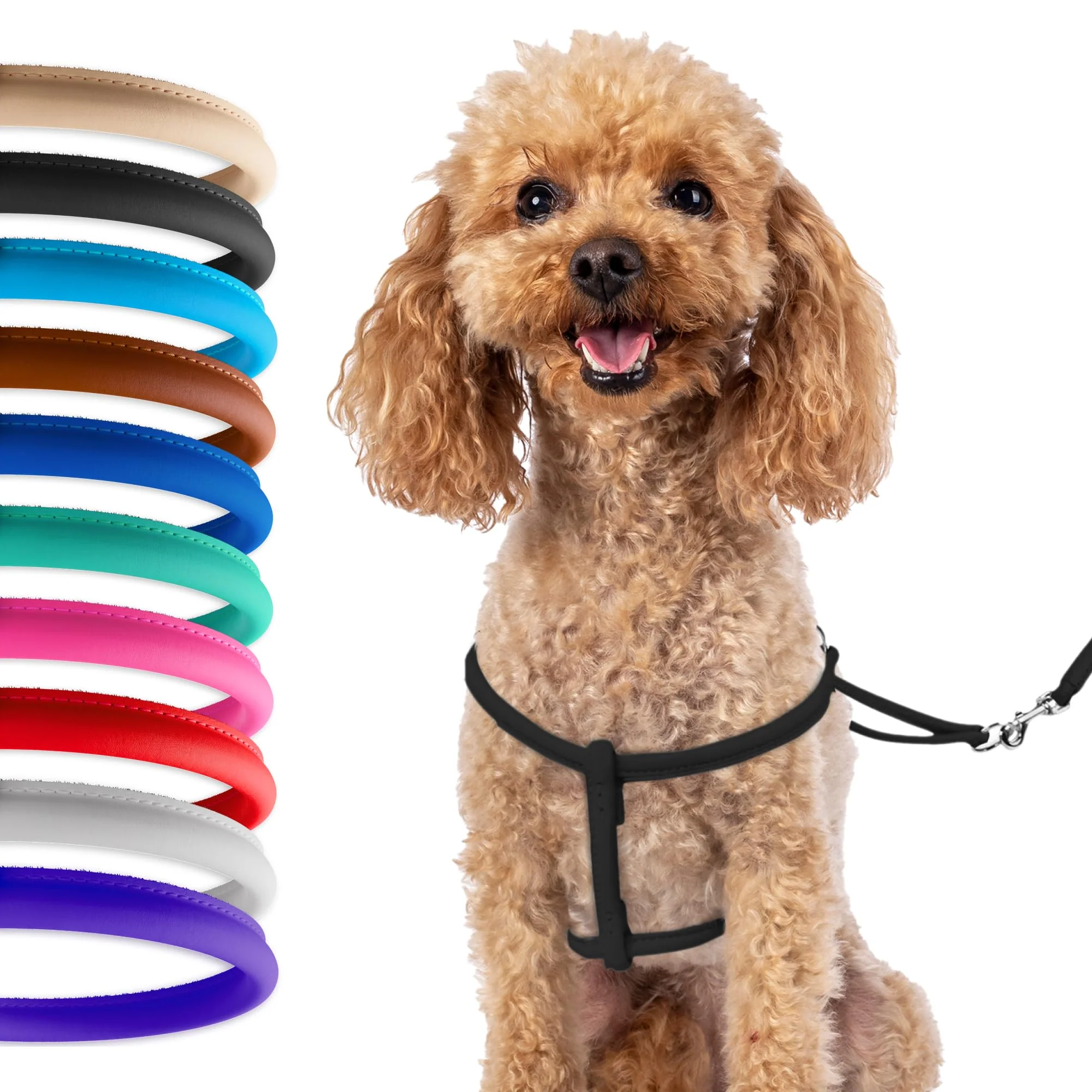 Specialty CollarDirect Rolled Leather Dog Harness for Small Dogs – Step-In Set with 4ft Lead Colorful Sustainable