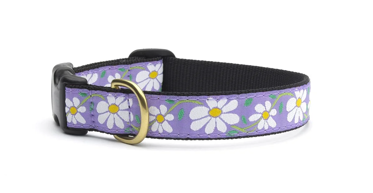 Exceptional Up Country Daisy Pattern Dog Collar XX-Large 21–27 in 1 in wide – Handmade USA Crafted