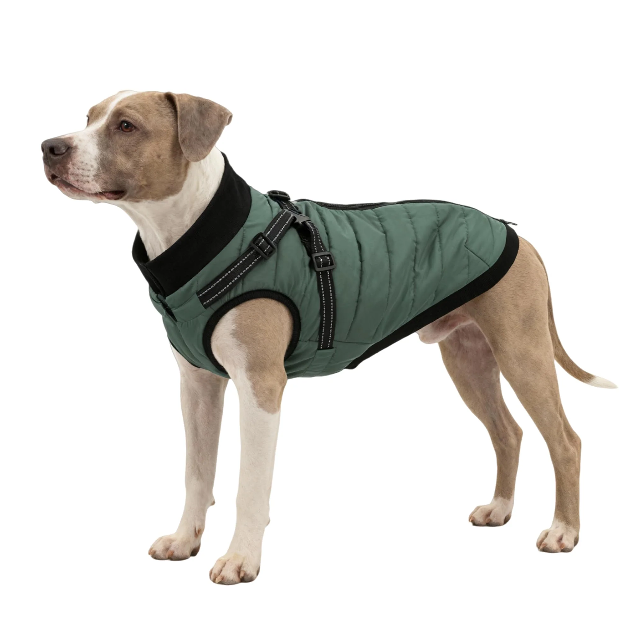 Quality Furmate Dog Winter Coat with Built-In Harness — Green 4XL World-Class