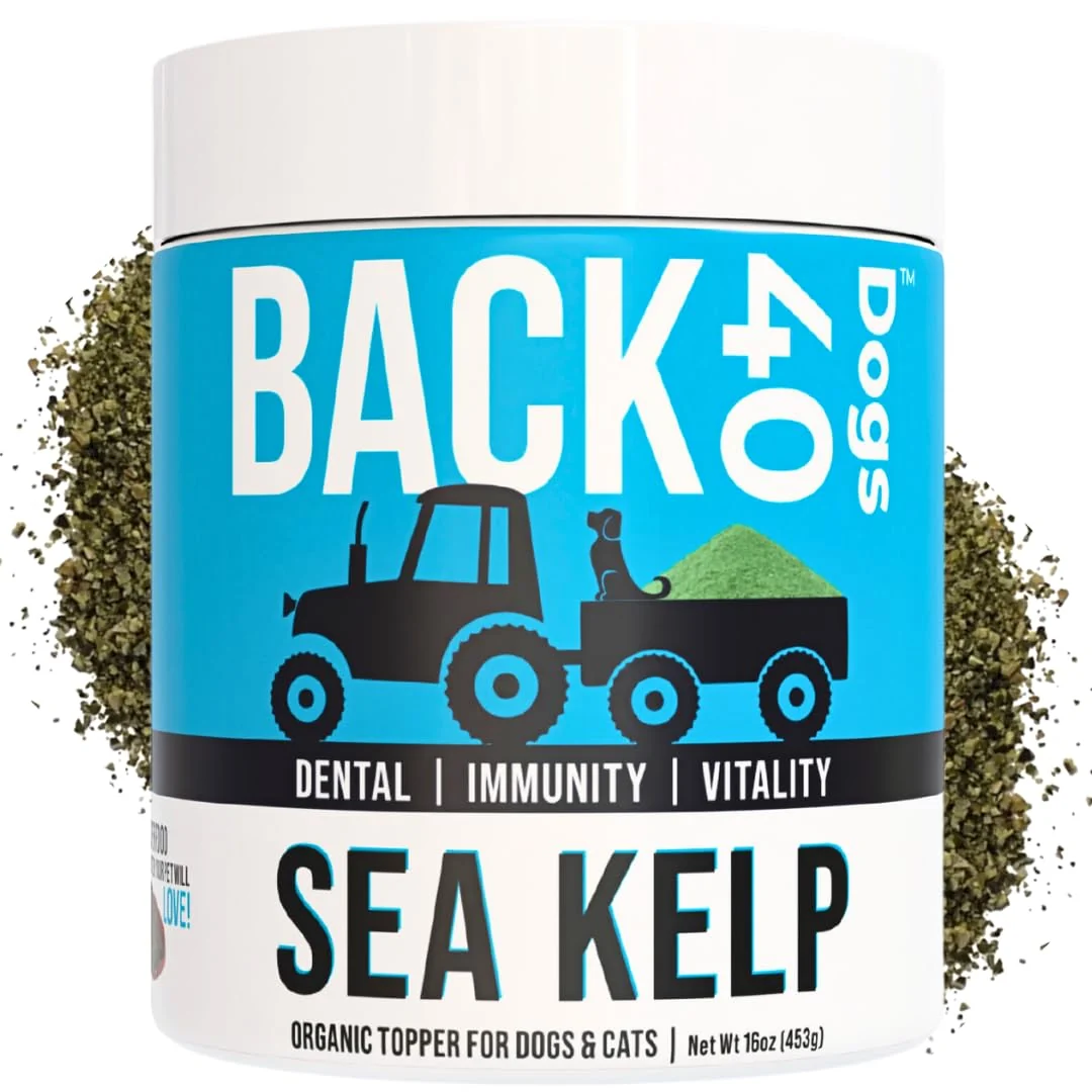 Healthy Back 40 Dogs Organic Kelp Powder for Dogs — Immune Support Thyroid Dental Health 16oz Made in USA Refined