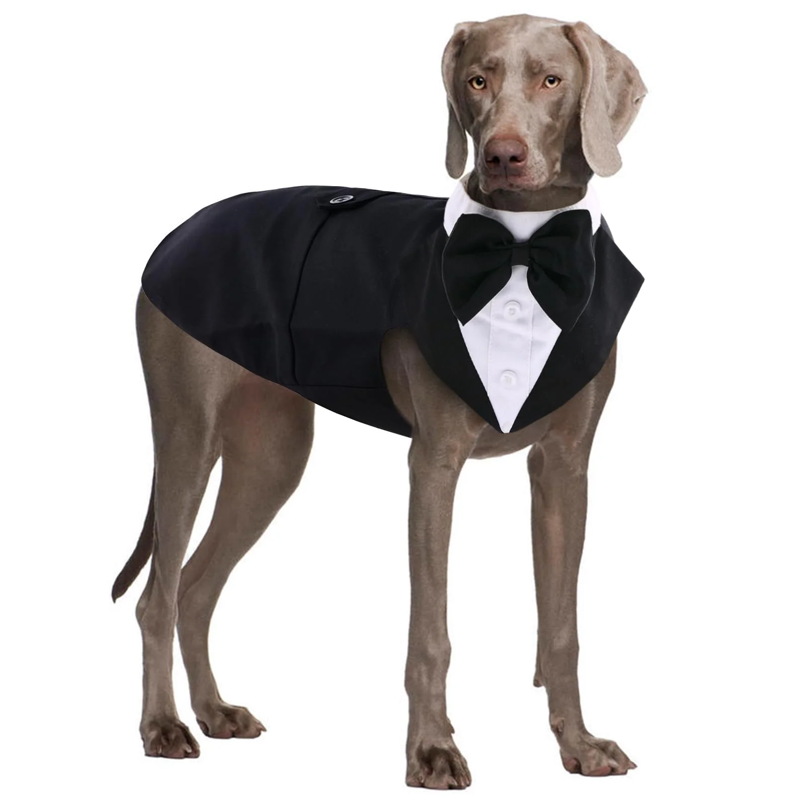 Flexible QBLEEV Large Dog Tuxedo – Suit Bandana Set with Bow Tie 2XL Authentic