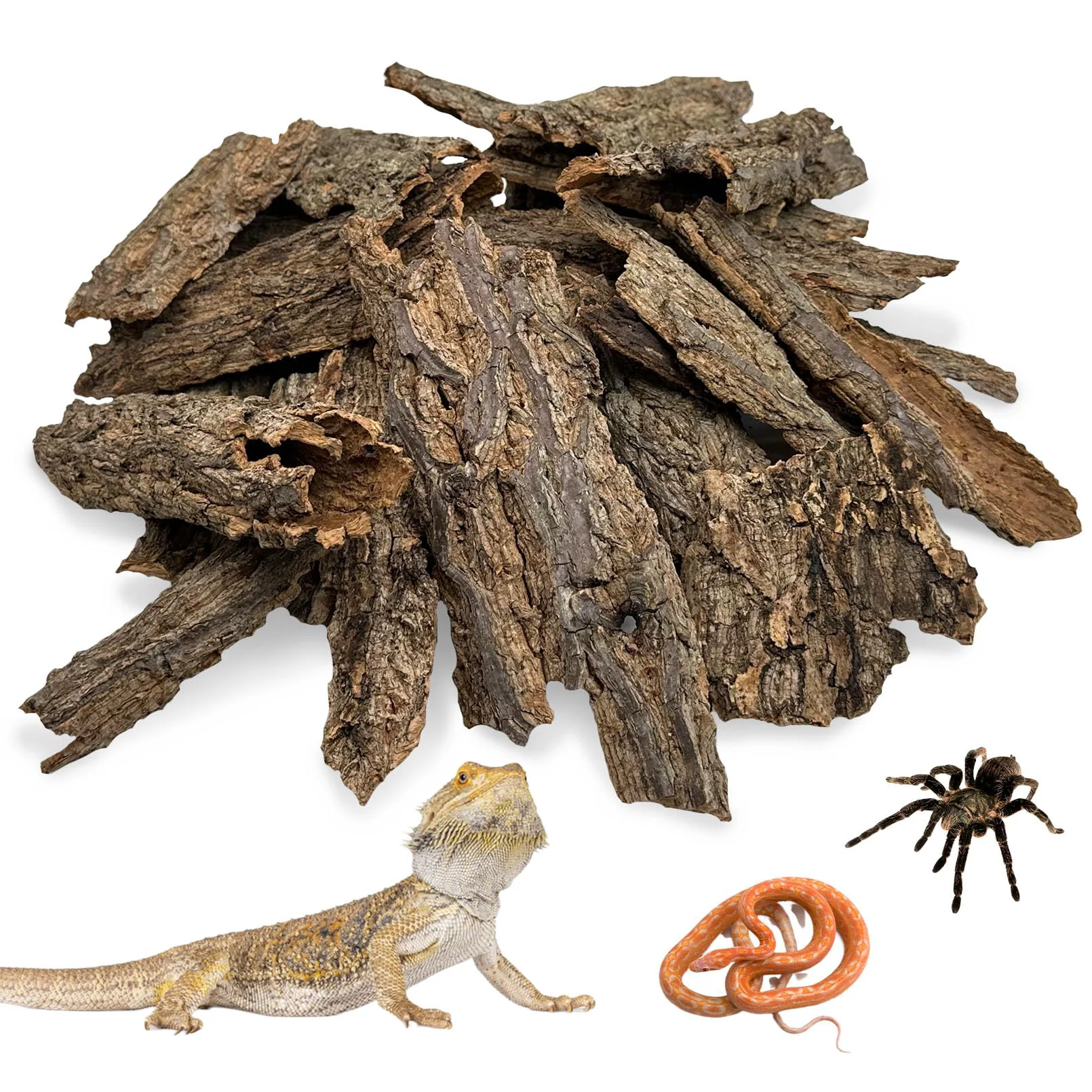 Long-Lasting Apatal Reptile Cork Bark Bulk 1.5 Lb - Natural Terrarium Substrate Backdrop Fine Crafted