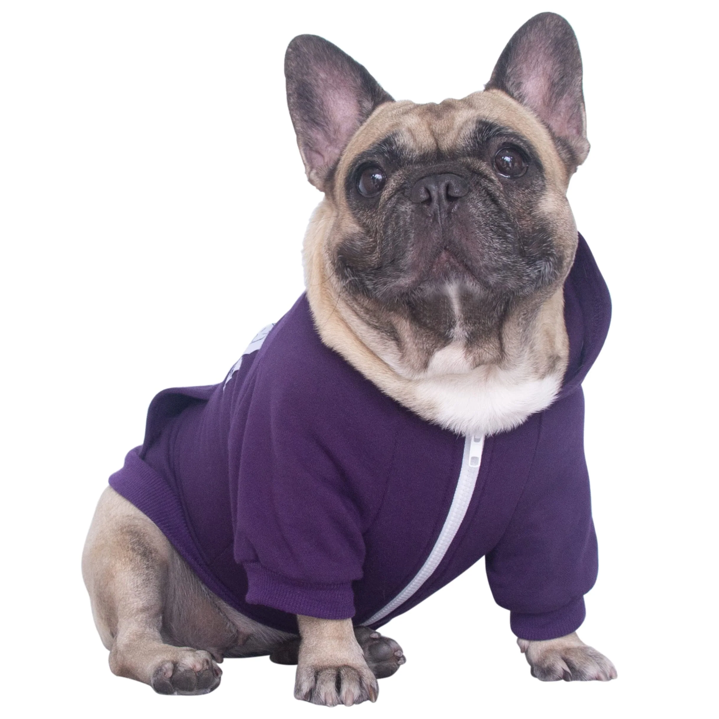 Healthy iChoue French Bulldog Hoodie for Dogs — Warm Stylish Winter Coat Sizes S-XL First-Class