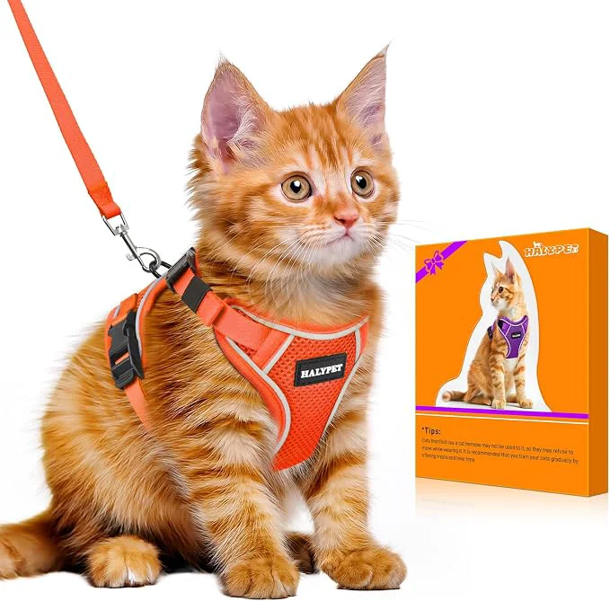 Fast Halypet Cat Harness and Leash Set Escape Proof Adjustable Cat Leash Comfortable Effective