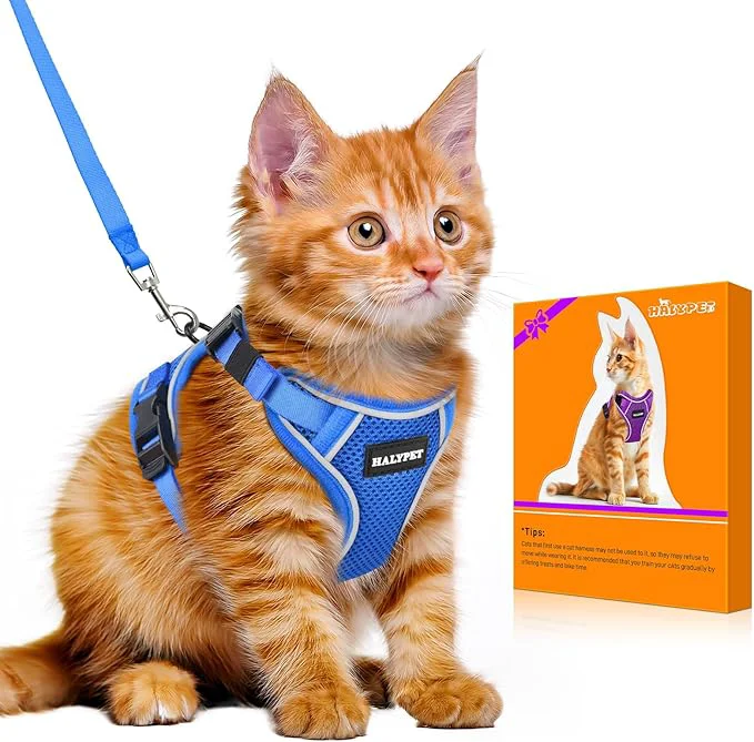Relaxed Halypet Cat Harness and Leash Set Escape Proof Adjustable Cat Leash Comfortable Sustainable
