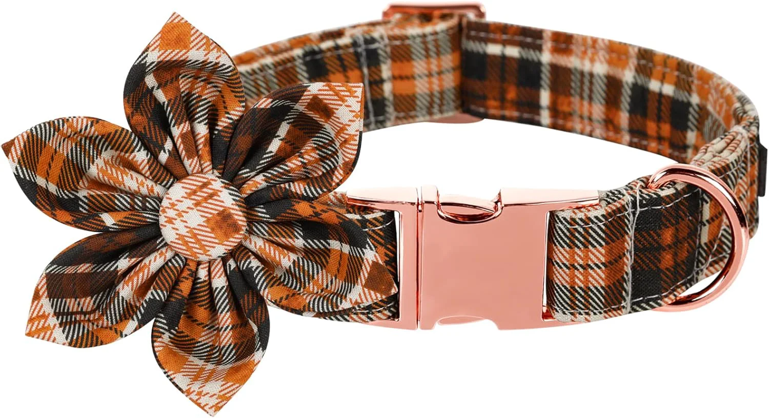 Optimized Lionet Paws Dog Collar with Flower. Everyday comfort that fits naturally into your space. Secure