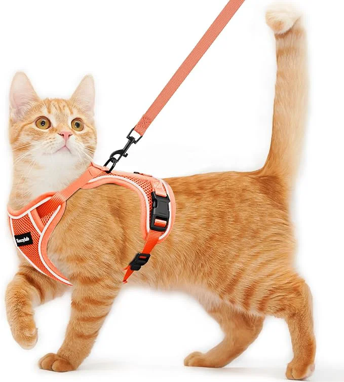 Powerful Cat Harness and Leash for Walking Escape Proof Soft Adjustable Cat Leash Pure