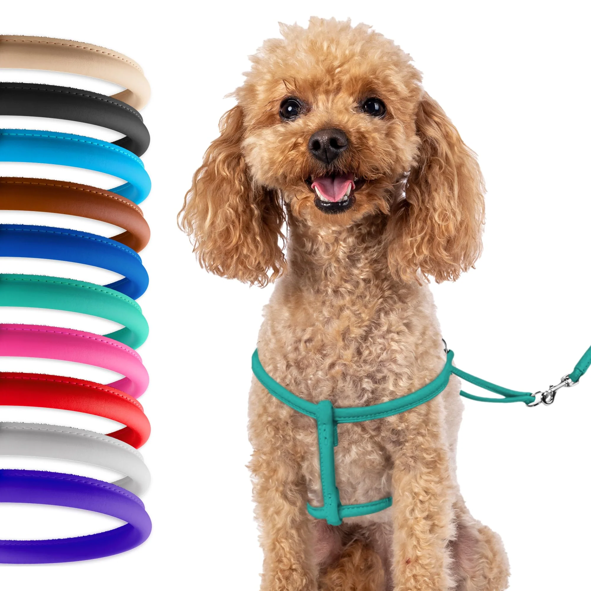 Natural CollarDirect Rolled Leather Harness for Small Dogs – Step-In 4ft Lead Included Specialty