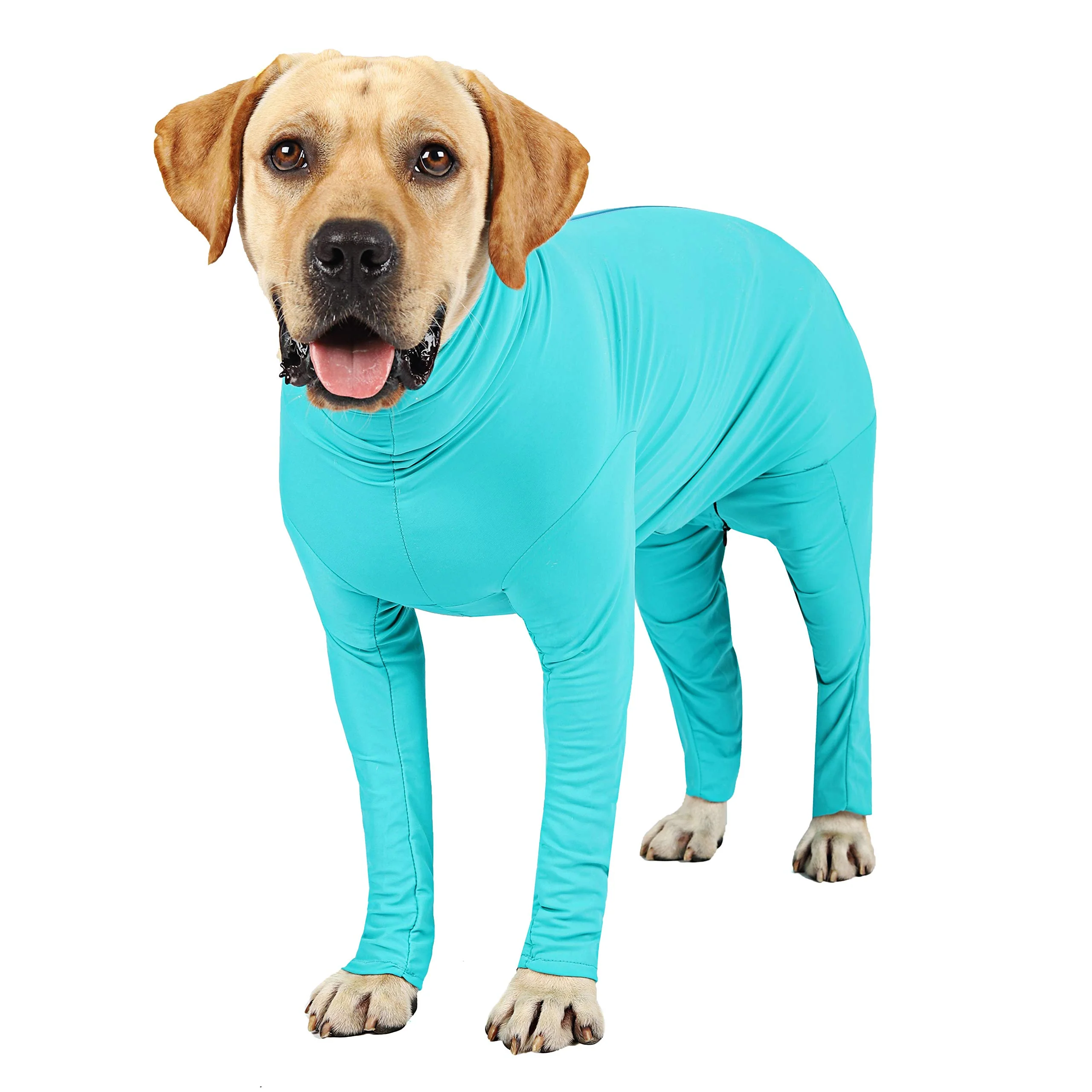 Smooth Etdane Recovery Suit for Dogs – Post-Surgery Onesie Anti-Licking Shedding Blue Small Dependable