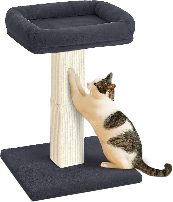 Original AGYM Cat Scratching Post 32 Cat Scratcher Reusable