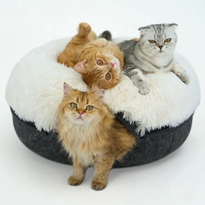 Functional CATTASAURUS Peekaboo Cat Cave for Multiple Large Cats Up to 30-45 Lbs Premium Material