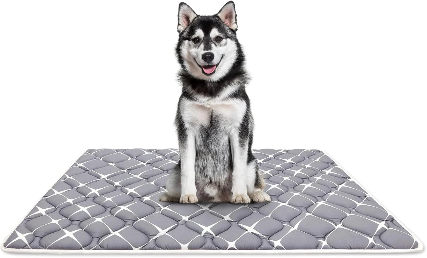 Functional Bubble bear Dog Crate Mat - Ultra Soft Washable Anti-Slip Kennel Pad for Small Medium Large Dogs Dark-Hued to Hide Stains 48 x30 Traditional
