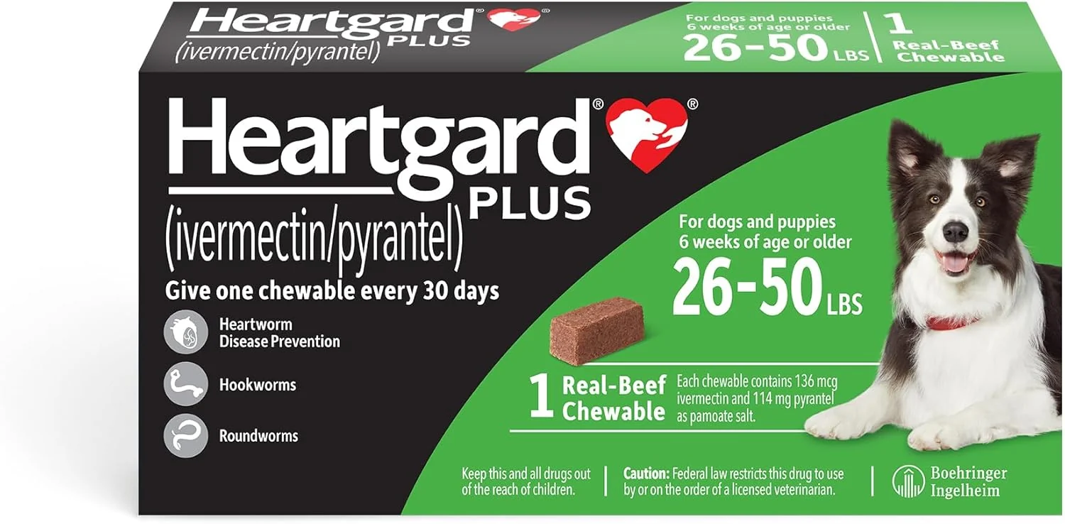 Comfortable HEARTGARD® Plus ivermectin pyrantel -Beef Chewables for Dogs 26-50 lbs Green Box 1 Month Supply of Chews Heartworm Disease Preventive Easy-to-Use