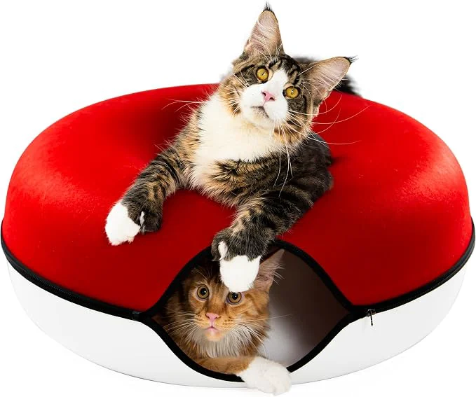 Exceptional Cattasaurus Peekaboo Cat Cave Extra Spacious Excellent