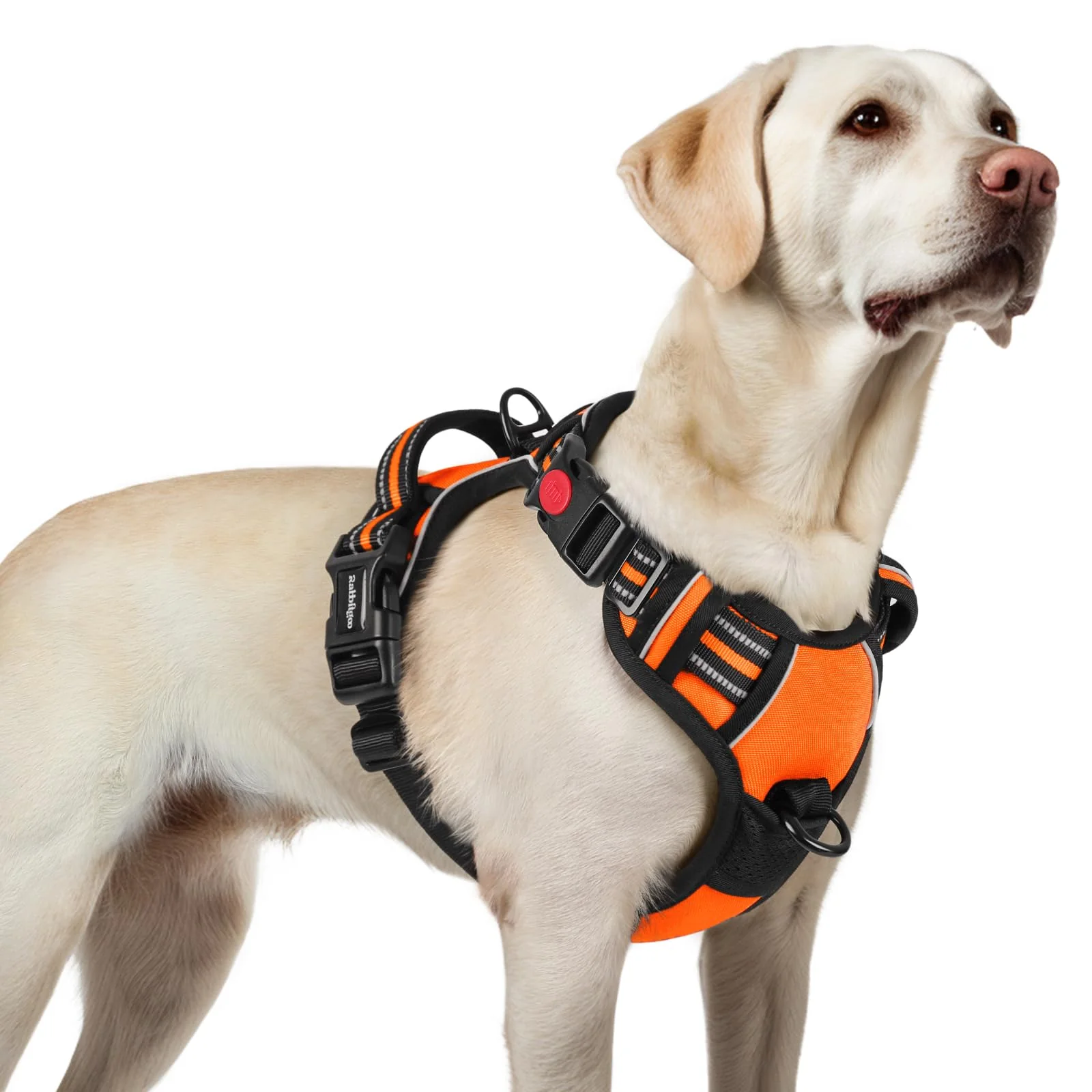 Specialty Rabbitgoo Large Dog Harness – No-Pull 3 Buckles Padded Vest Reflective Healthy