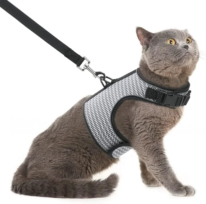 Minimalist PUPTECK Soft Mesh Cat Vest Harness and Leash Set Puppy Padded Pet Harnesses Superior