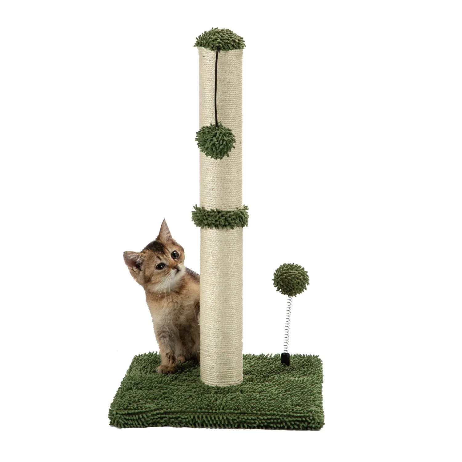 Proven MECOOL Cat Scratching Post Premium Basics Kitten Scratcher 22in – Cactus Green Quality