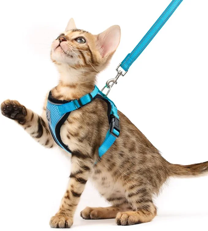 Outstanding PUPTECK Cat Harness and Leash Set Escape Proof Reflective Cat Walking Harness Solid