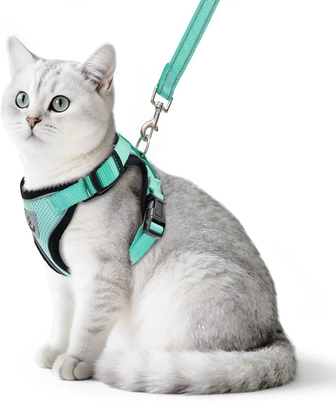 High-Performance PUPTECK Cat Harness and Leash Set Escape Proof Reflective Cat Walking Harness Premium