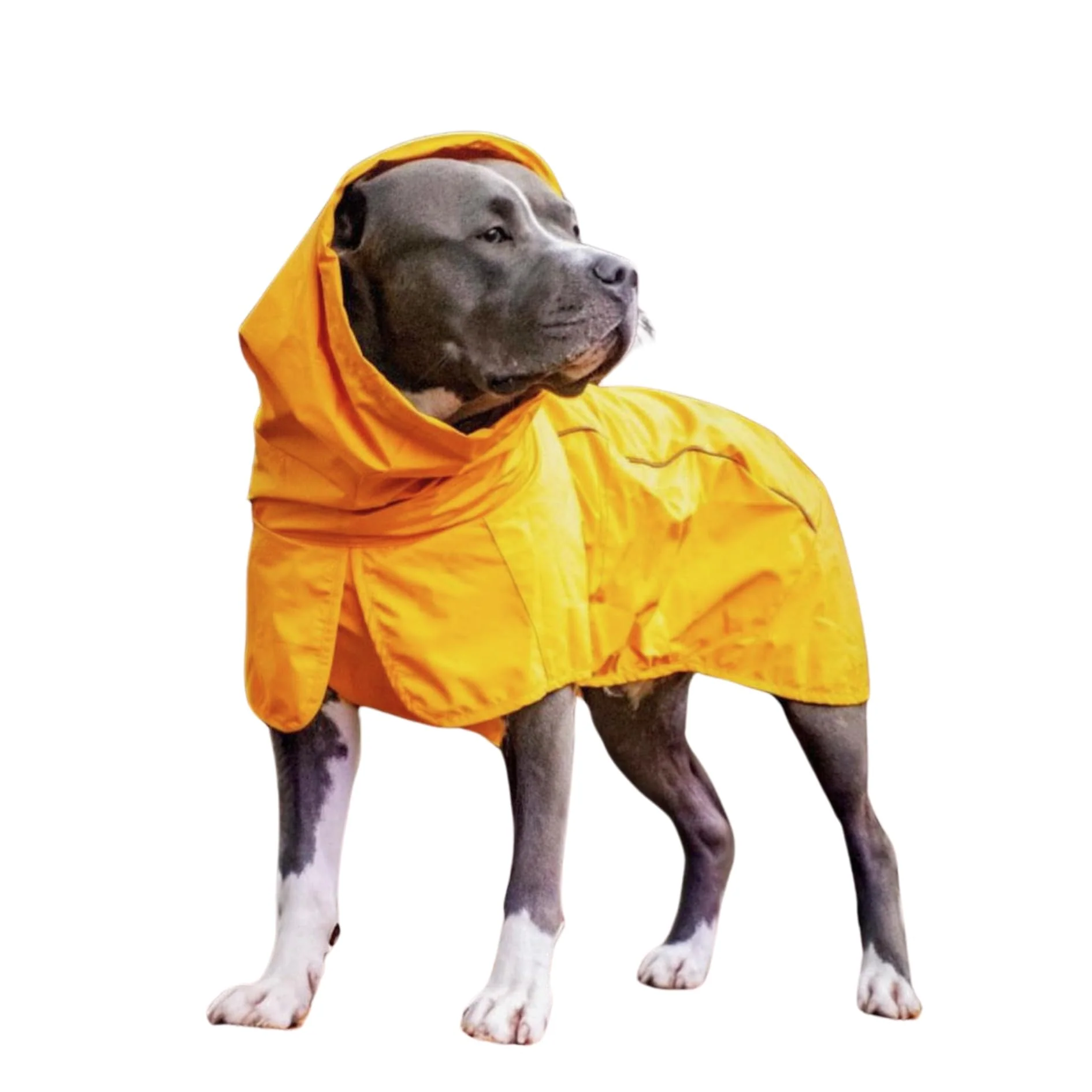 Official Spark Paws Dog Raincoat. Chosen for quality fits naturally into modern pet homes. Reusable