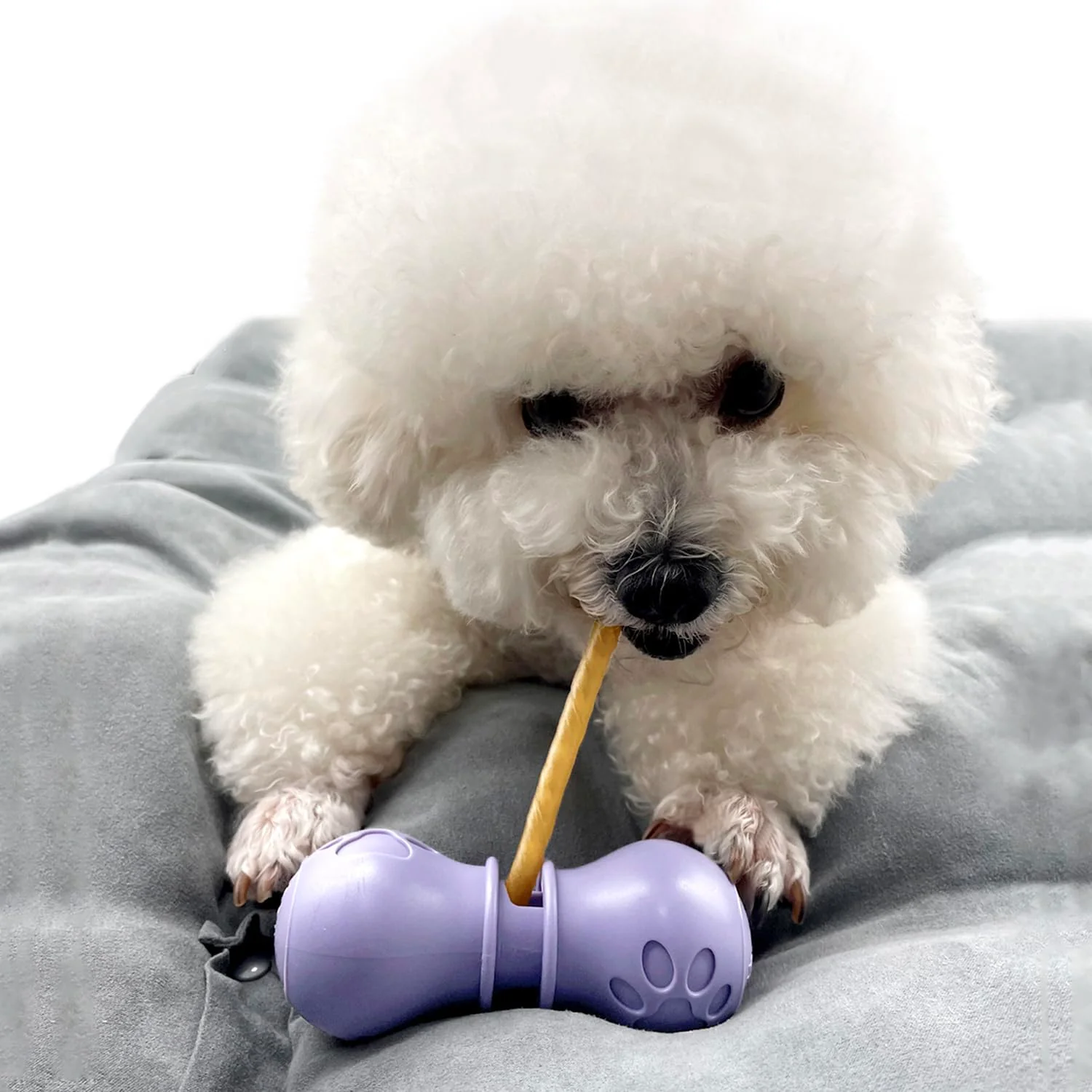 Natural BoniVet Bully Stick Holder for Dogs – Adjustable Chew Holder Prevents Choking Small Purple Elegant