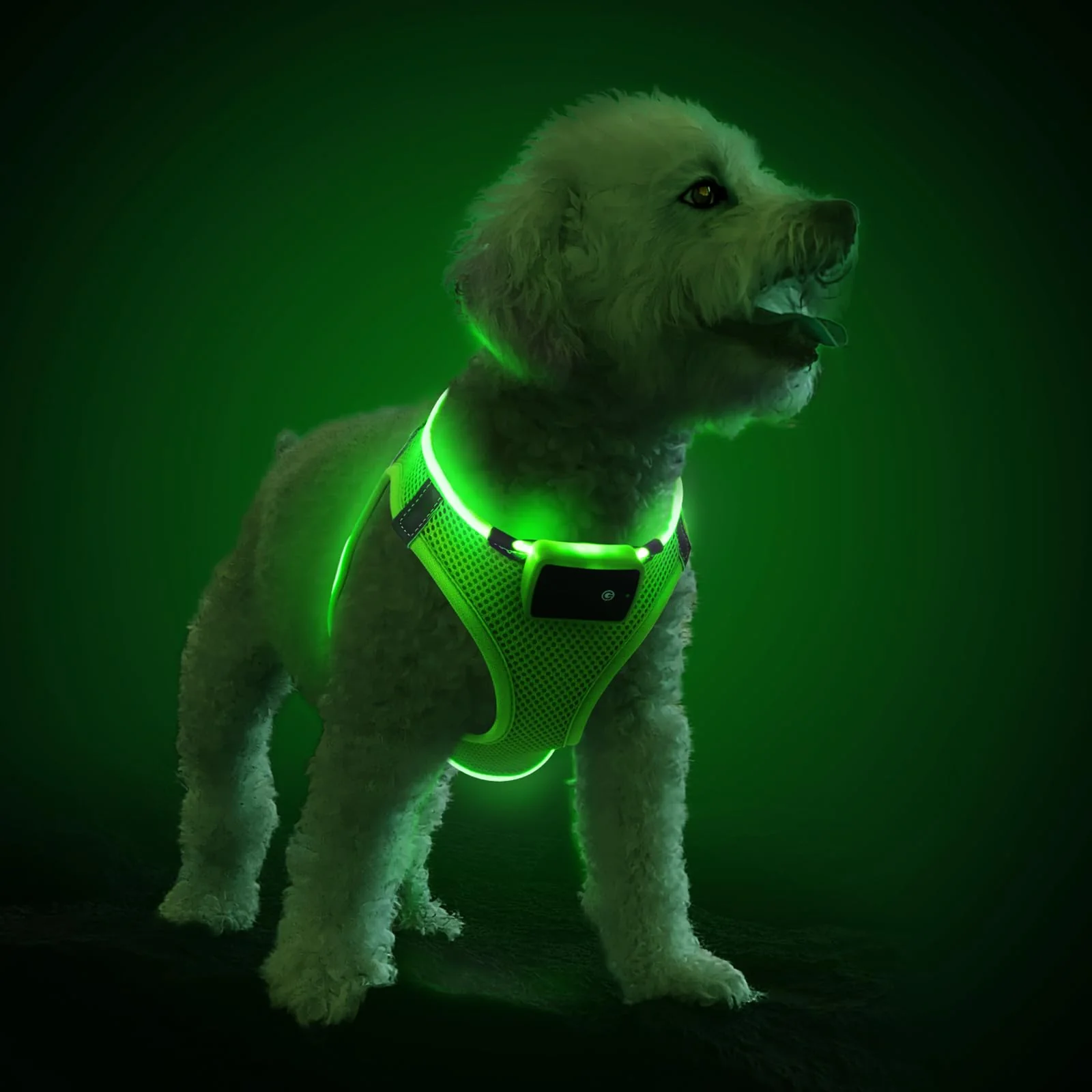 Powerful PcEoTllar Light Up Dog Harness - LED Visibility No-Pull Reflective Green XS Healthy