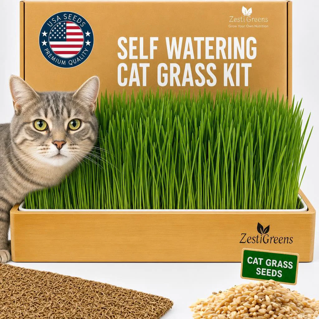 Original Design Cat Grass for Indoor Cats. Chosen for quality fits naturally into modern pet homes. Lightweight