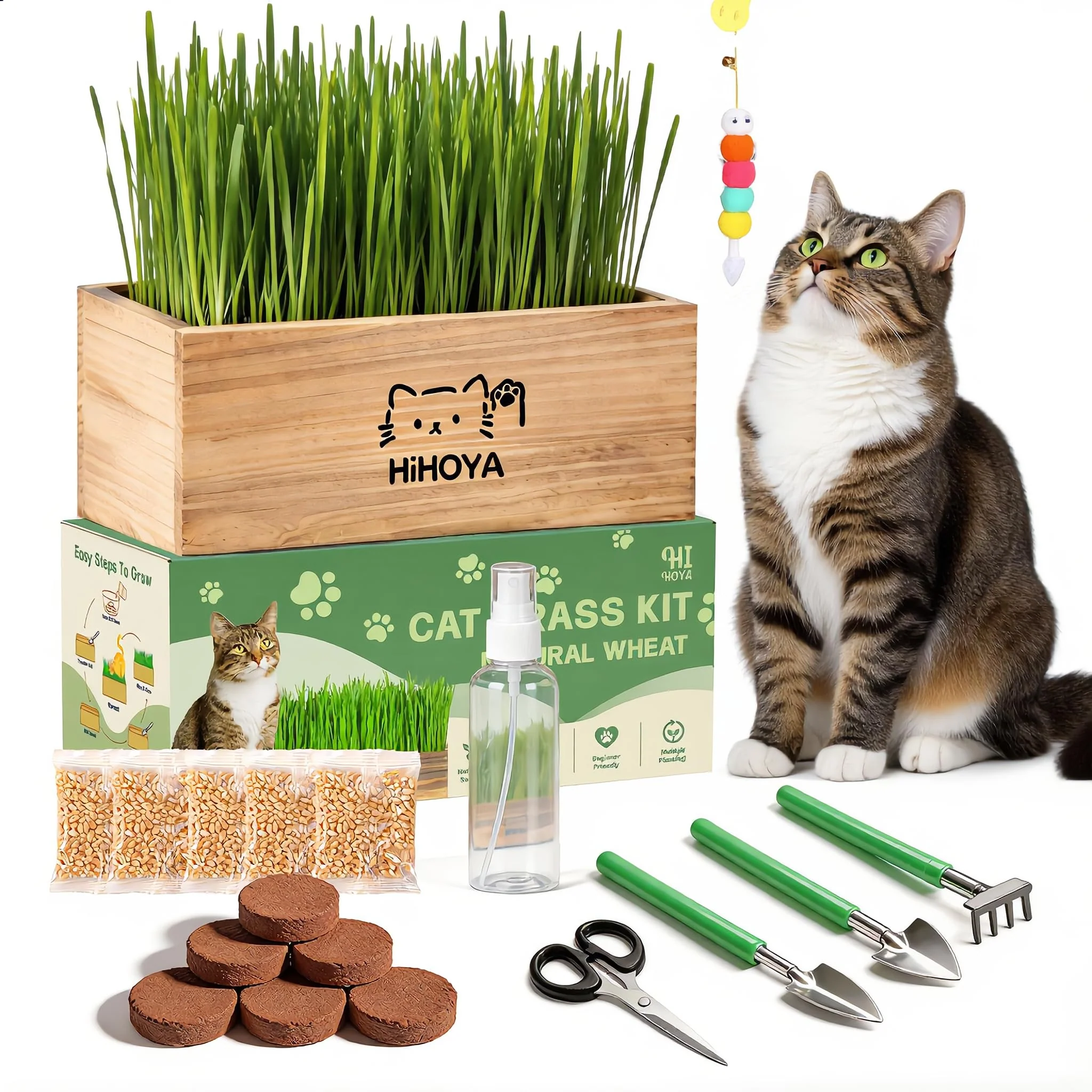 High-Grade HiHOYA Cat Grass Kit for Indoor Cats. Chosen for quality fits naturally into modern pet homes. Luxury