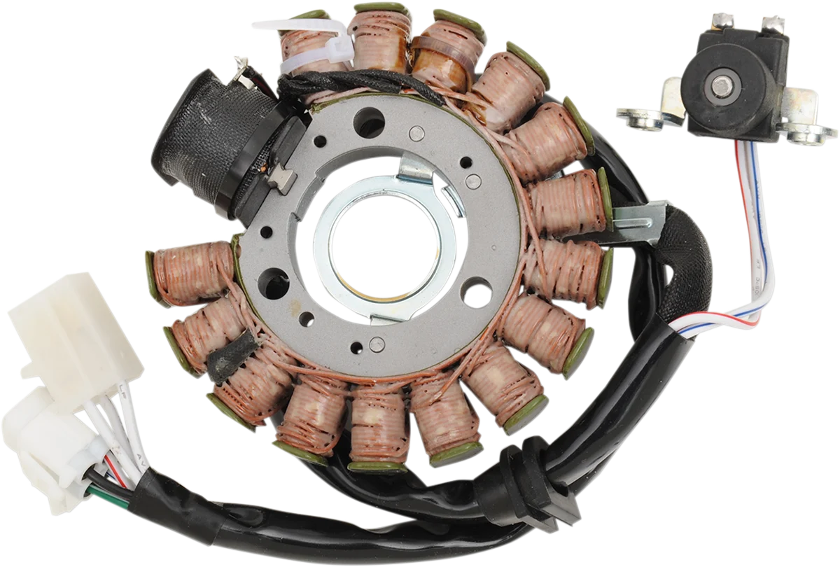 High-End RICK'S MOTORSPORT ELECTRIC Stator - Benelli Scooter 21-427 Flexible