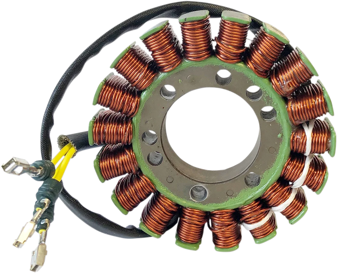 Next-Generation RICK'S MOTORSPORT ELECTRIC Stator - Ski-Doo 24-107 Sustainable