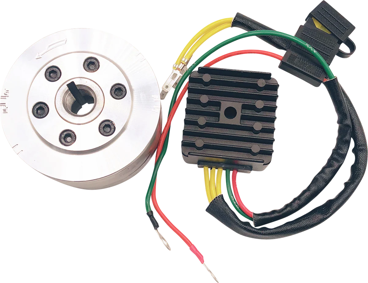 Outstanding RICK'S MOTORSPORT ELECTRIC Charging Kit - Honda 99-111 High-Performance
