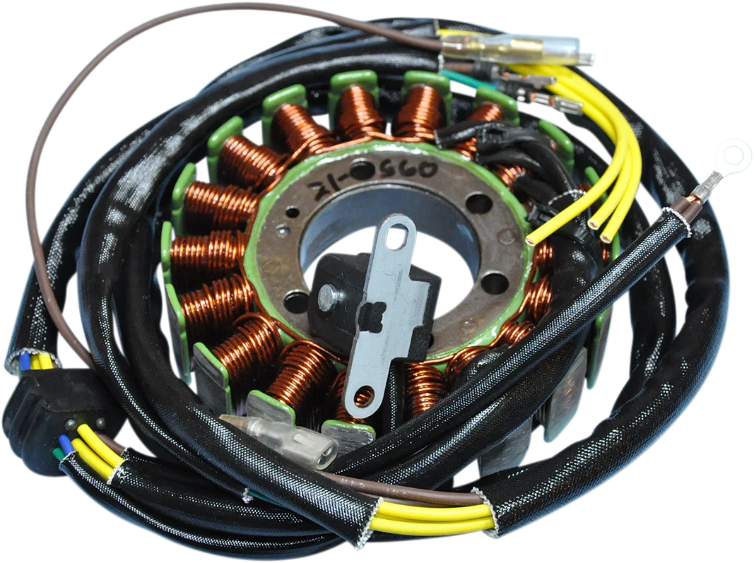 High-End RICK'S MOTORSPORT ELECTRIC Stator - Polaris 21-560 Professional