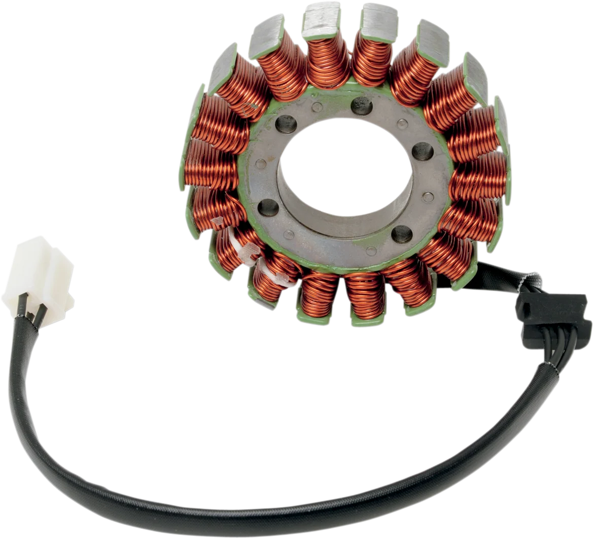 Modern RICK'S MOTORSPORT ELECTRIC Stator - Kawasaki 21-227 High-End