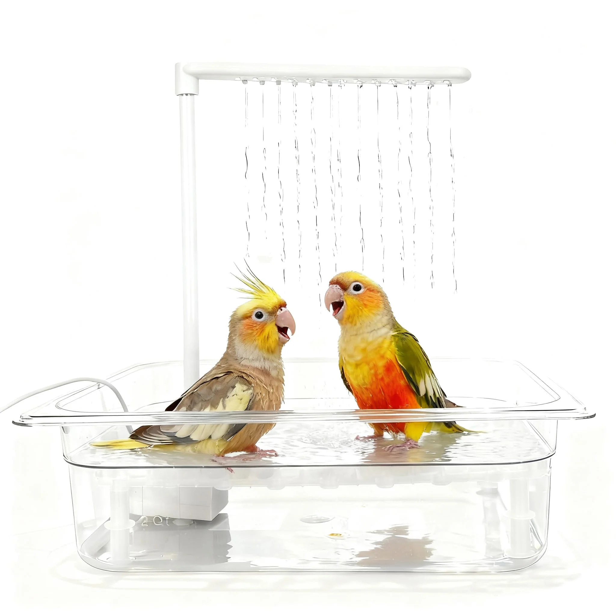 Prestigious HZDZ LCPAW Bird Bath Tub with USB Pump – Adjustable Flow Clear Acrylic Basin Mesh Perch Eco-Friendly
