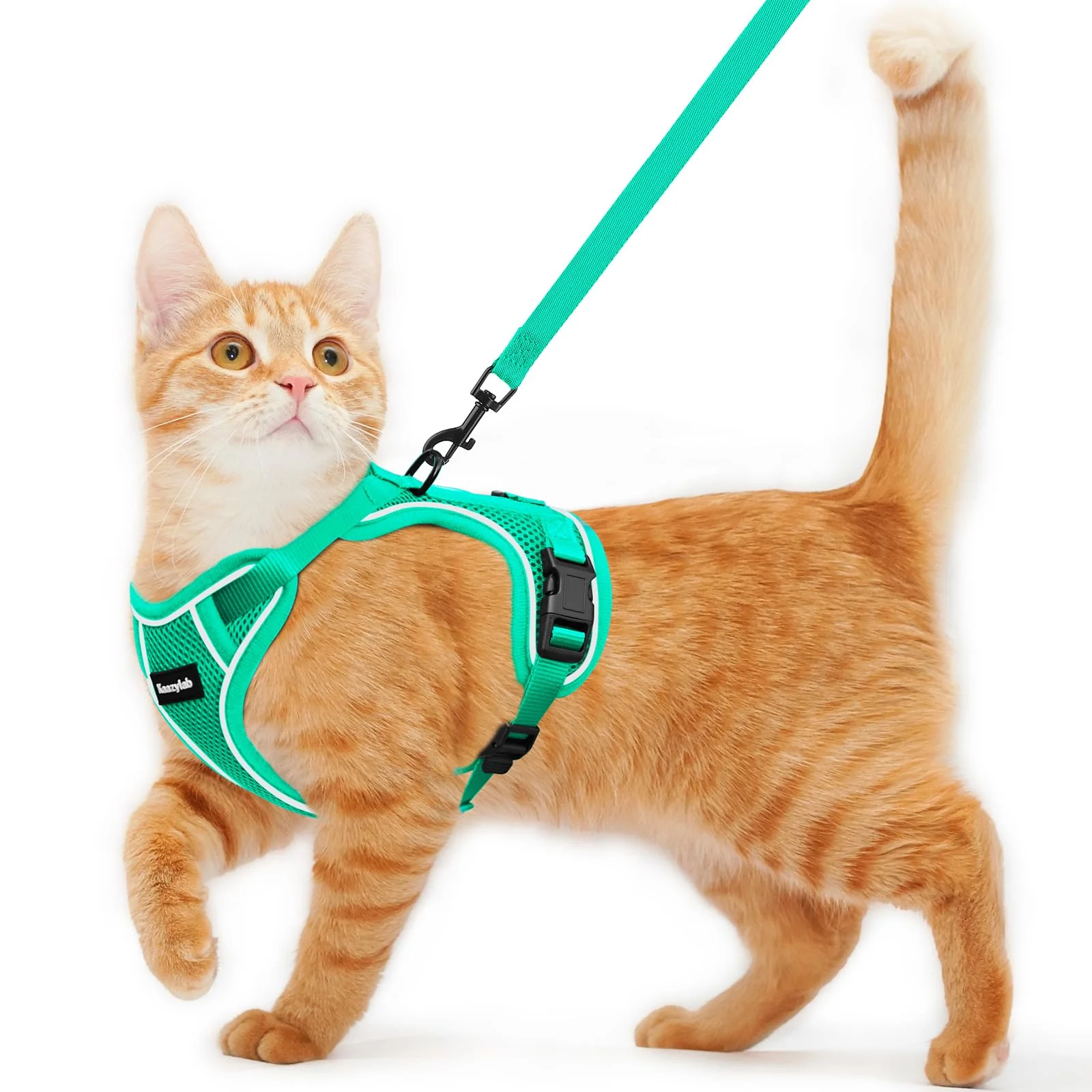 Premium Material Kaazylab Cat Harness and Leash – Escape-Proof Soft Adjustable Vest for Outdoor Walks Emerald XS Crafted