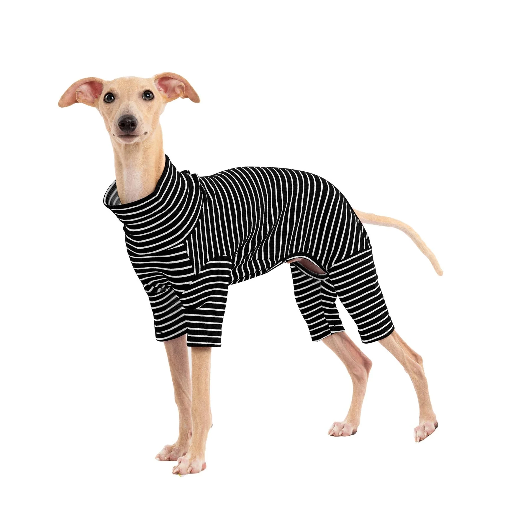 Elite Haloumoning Dog Sweaters Striped Turtleneck Knitwear for All Sizes Green
